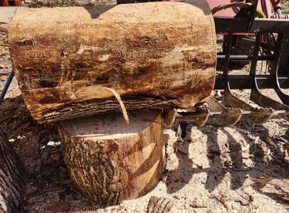 Big Ash bucking stand.jpg
