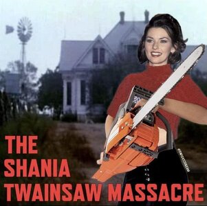 Shania Twainsaw.jpg