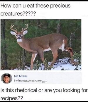 deer.jpg