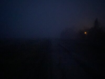 IMG_8034.jpeg