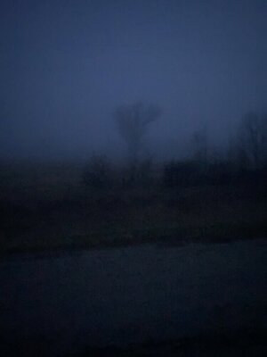 IMG_8036.jpeg