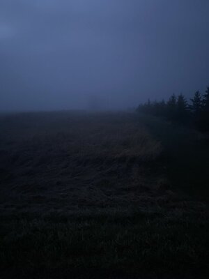 IMG_8038.jpeg