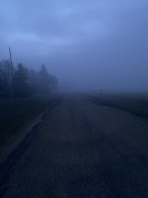 IMG_8039.jpeg