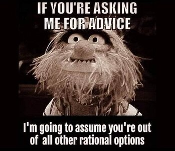 Muppet advice.jpg