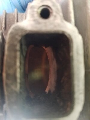 IMG_0868.jpeg