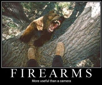 Firearms~2.jpg