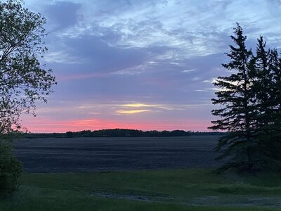 IMG_8194.jpeg