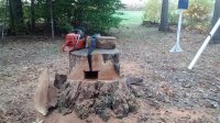 IMG_20161020_163203119.jpg