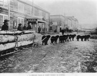 dogsled 1898.jpg