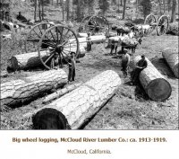 Load  big wheel logging.JPG