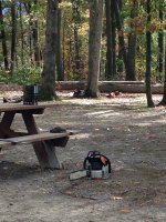 IMG_1390.JPG