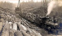 Load of Logs204.jpg