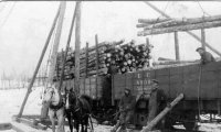 Load of Logs260.jpg