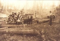 Load of Logs274.jpg