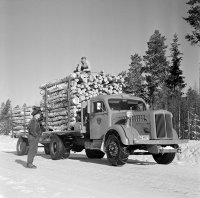 Load of Logs280.jpg