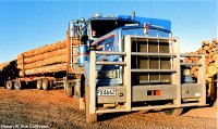 Load of Logs278.jpg