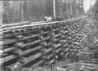 Log Bridge1.jpg