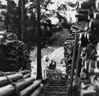 log road logging.jpg