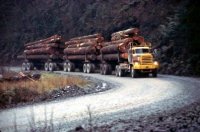 Log Truck5.jpg