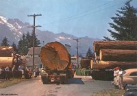 Log Truck7.jpg