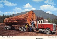 Log Truck8.jpg