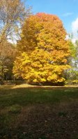 20161024_105110.jpg