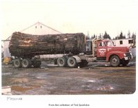 Log Truck15.jpg