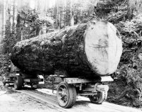 Log Truck16.jpg