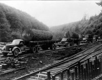 Log Truck18.jpg