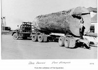 Log Truck19.jpg