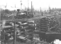 logging trestle5.jpg