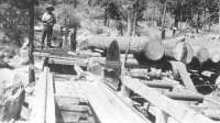 sawmill1.jpg