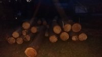 20161026_181928.jpg