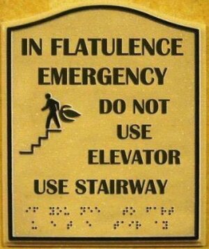 In_Flatulence_Emergency~2.jpg