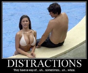 Distractions~2.jpg