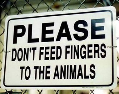 Dont_Feed_The_Animals~2.jpg