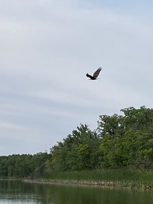IMG_8298.jpeg