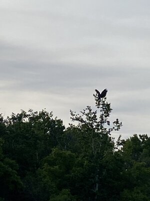 IMG_8305.jpeg
