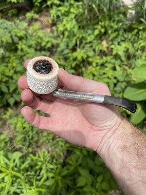 IMG_3101.jpeg