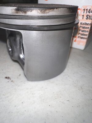 IMG_7963.jpeg