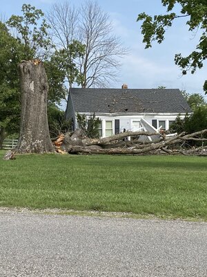 IMG_0425.jpeg IMG_0425.jpeg