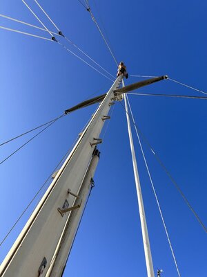 IMG_5907.jpeg