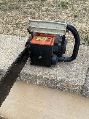 IMG_4470.jpeg IMG_4470.jpeg