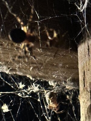 IMG_8869.jpeg