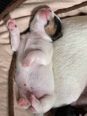 IMG_3944.jpeg