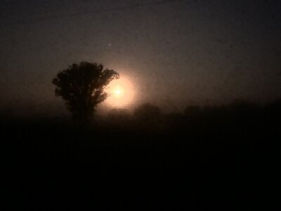 IMG_8880.jpeg