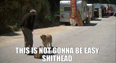 470e8b5c-6981-4b5d-8162-a29ee28b0097_text.gif