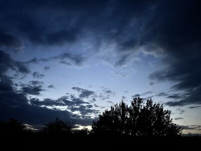 IMG_8891.jpeg