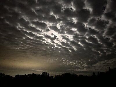 IMG_8893.jpeg
