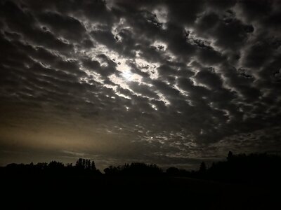 IMG_8894.jpeg